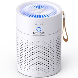 Air Purifiers For Home Bedroom H13 True HEPA Air Filter, Quiet Air Cleaner,Portable Small Air Purifier For Office, Living Room,Amazon Banned Sales Platform